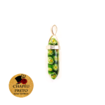 Ponta Ágata Florida