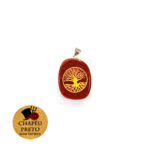 Pedra do Sol com Árvore da Vida