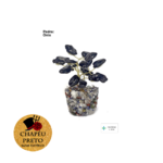 Árvore da Felicidade Ónix