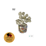 Árvore da Felicidade Pirita