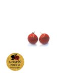 Brincos Jaspe Vermelho